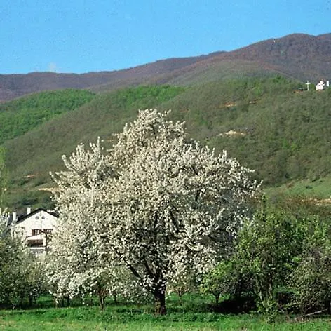 Kastanodasos