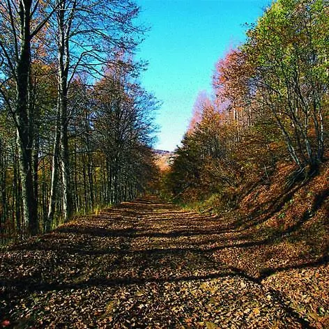 Apartahotel Kastanodasos